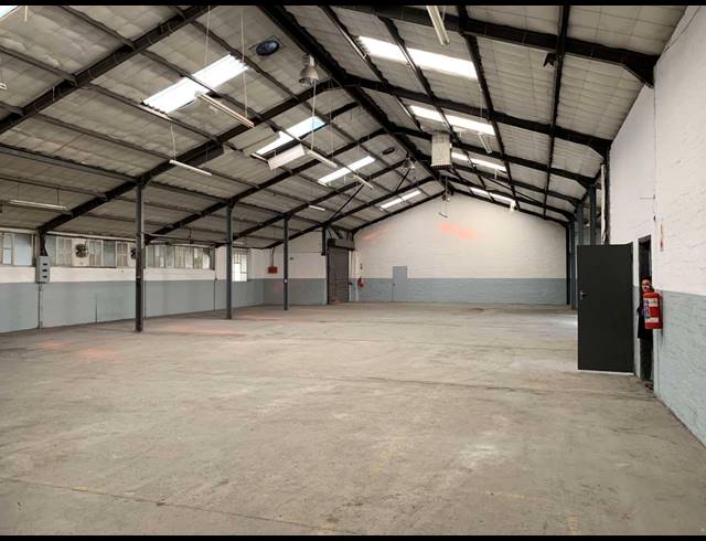 1,200M² FACTORY TO LET IN ELSIES RIVER INDUSTRIAL